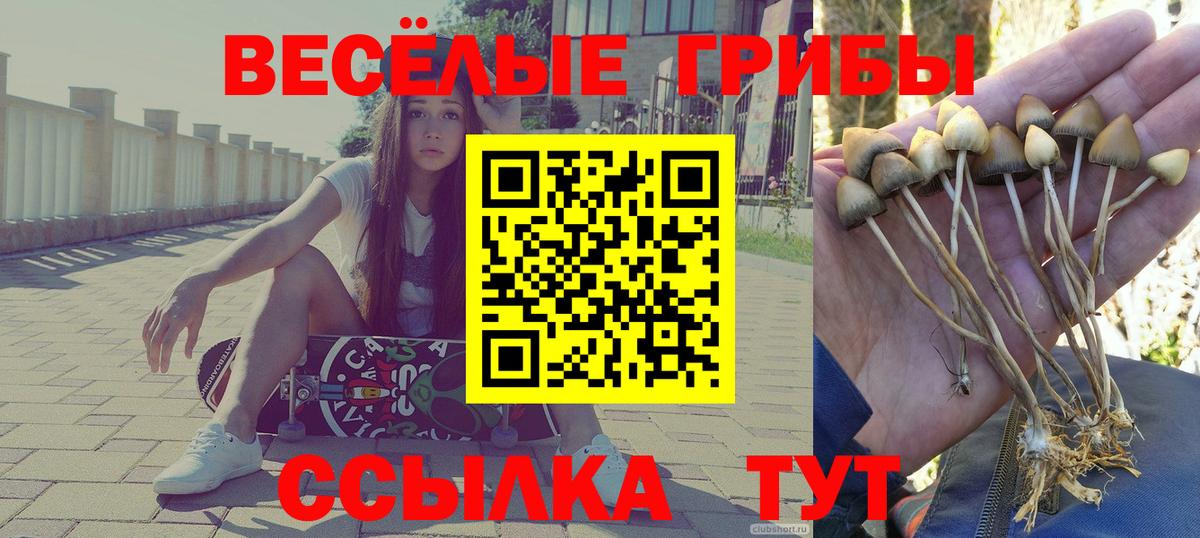 Галлюциногенные грибы GOLDEN TEACHER Гусиноозёрск