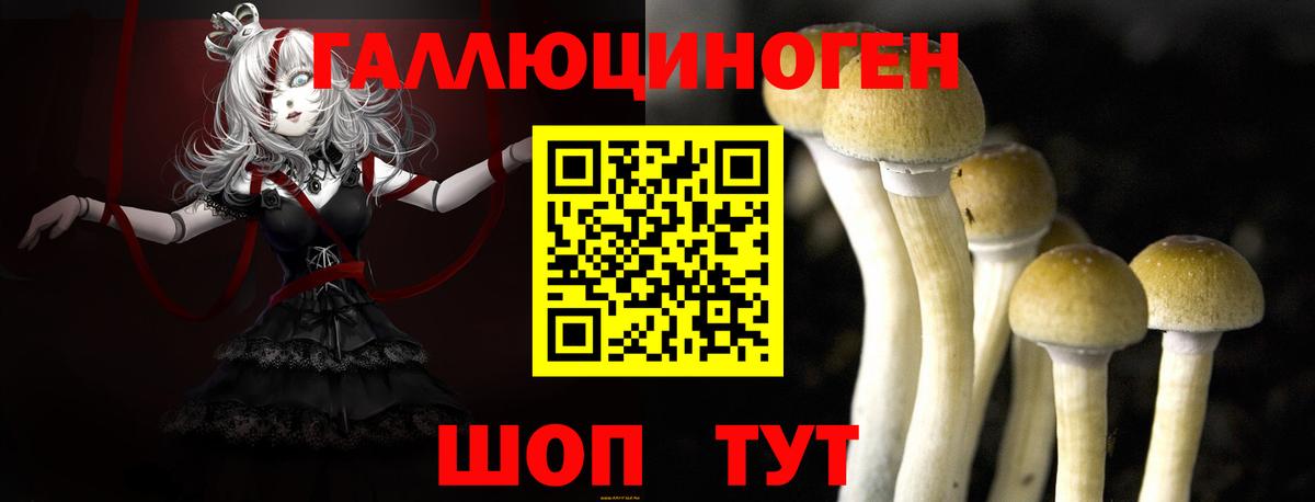 Псилоцибиновые грибы прущие грибы  Вход с VPN  Гусиноозёрск 